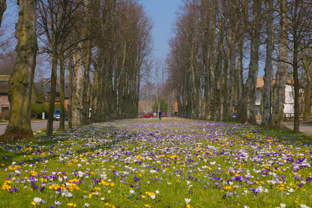 Frühling in der Probstei